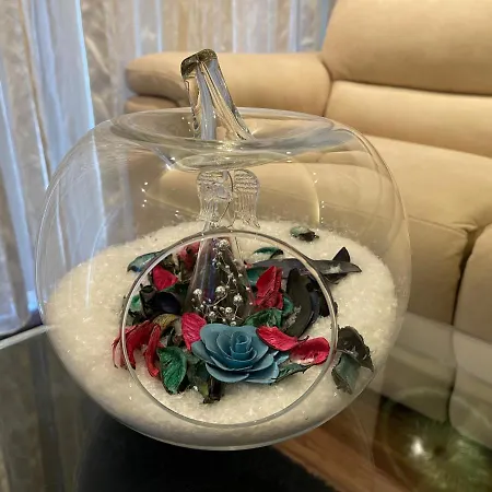 Modern Finished With Natural Light